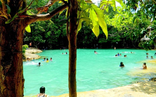 Half-Day Jungle Adventure in Krabi