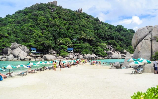 Koh Nangyuan & Koh Tao Speedboat Tour