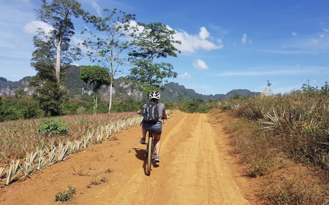 Krabi Countryside Eco Cycling Tour