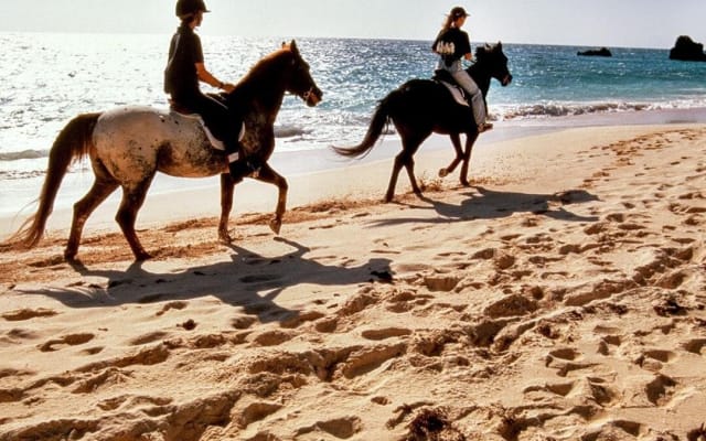 Krabi Horse Riding at Ao Nam Mao Beach