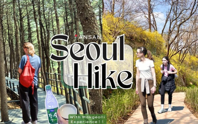Ansan Jarak-gil Trail and Makgeolli Seoul Hike Experience