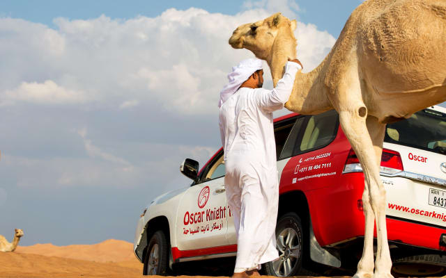 Sunset Camel Trekking & Falcon Show in Dubai