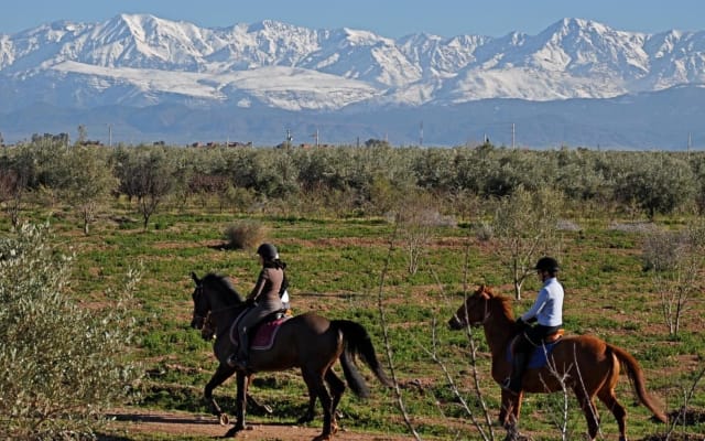 Marrakech Horse Riding Adventure