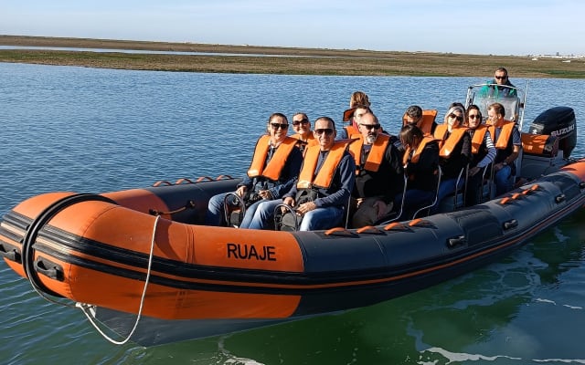 Dolphin Watching & Island Tour from Faro