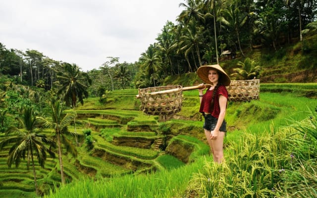Ubud Private Highlights Tour