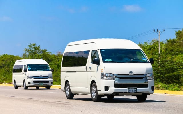 Bali Private Custom Minibus Tour