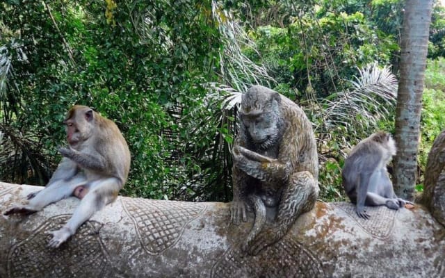 Bali Private Driver Customizable Full-Day Tour