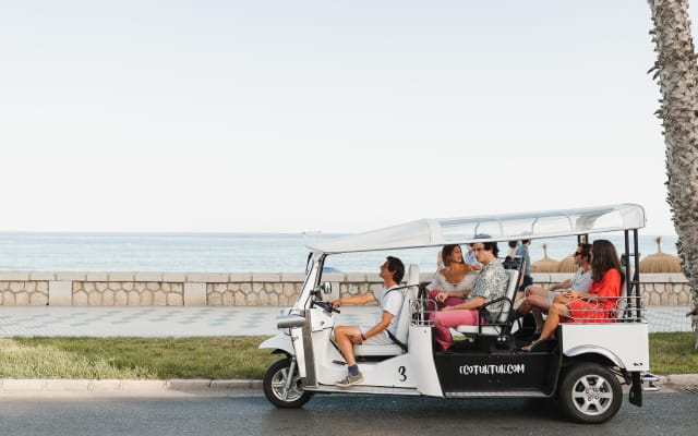 Private Eco Tuk Tuk Tour in Malaga