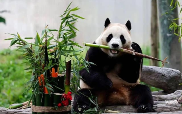 Beijing Cultural Exploration Tour