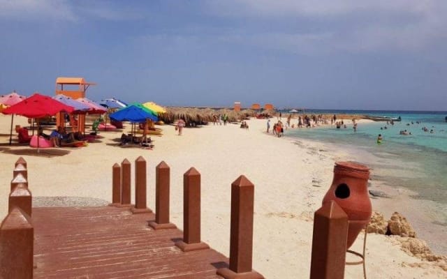 Giftun Island Snorkeling Adventure