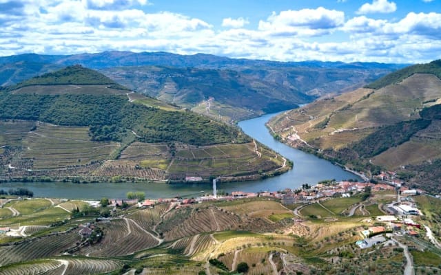 Private Douro Valley Wine Tour
