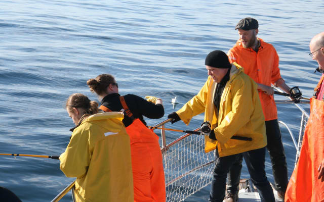 Reykjavik Sea Angling Gourmet Experience