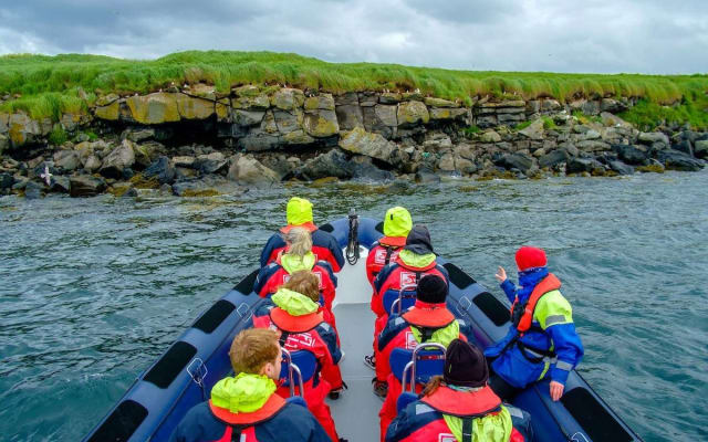Reykjavik Puffin-Spotting RIB Boat Adventure