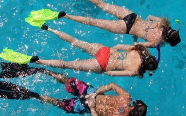 Miami Snorkeling Adventure for Beginners
