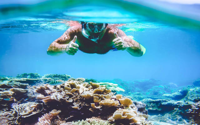 Surin Island Snorkeling Adventure