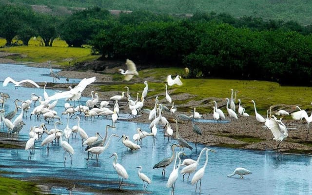 Northern Vietnam 3-Day National Parks Tour