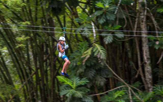 Guided Zipline and Blue Hole Waterfall Adventure