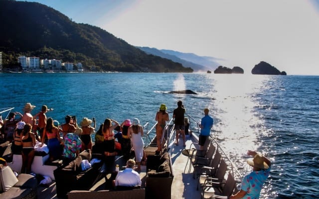 Puerto Vallarta Mega Yacht Sunset Cruise