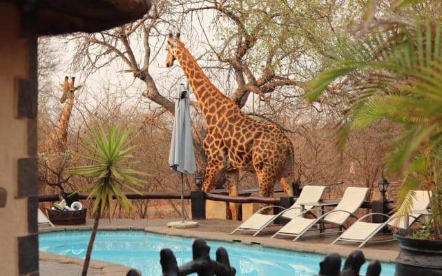 3-Day African Rock Lodge Safari in Kruger National Park