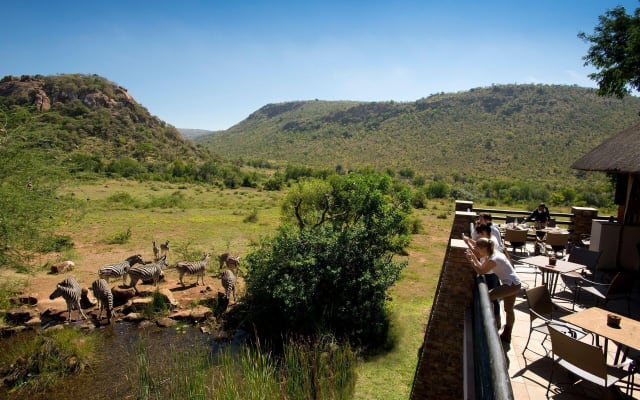4-Day Pilanesberg Safari at Kwa Maritane Lodge
