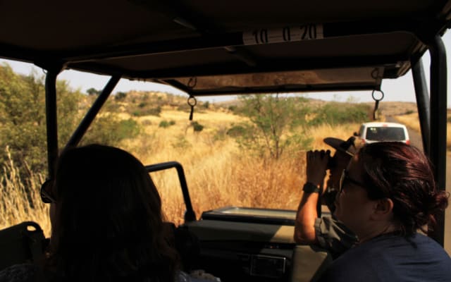 Pilanesberg Full-Day Safari Adventure