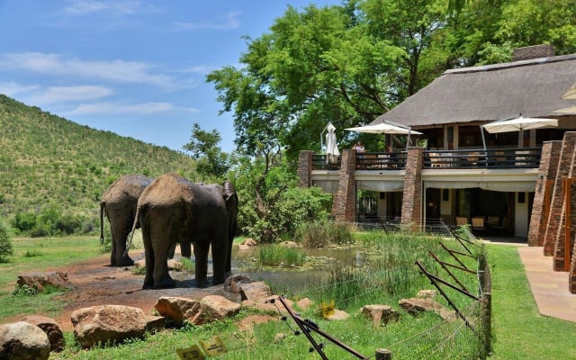 2-Day Pilanesberg Safari at Kwa Maritane Lodge