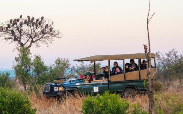 5-Day Luxury Shishangeni Lodge Experience