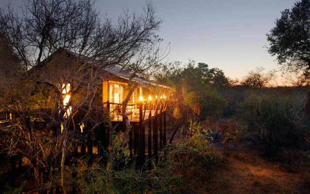 3-Day Kapama Buffalo Camp Safari