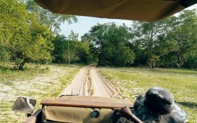 Full-Day Pilanesberg Safari from Sun City