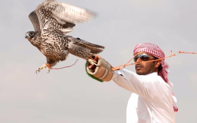 Private Desert Safari with Falcon Show