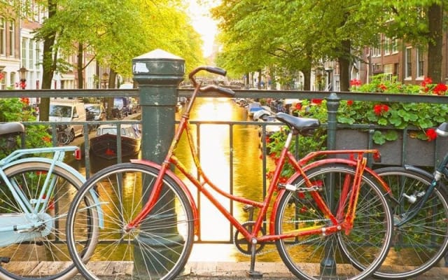 Amsterdam City Center Guided Walking Tour