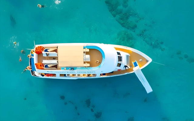 Blue Lagoon Half-Day Tour with Water Slide from Paphos