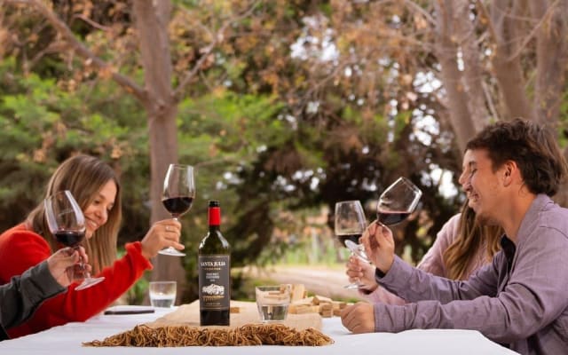 Mendoza Wine Tasting Tour
