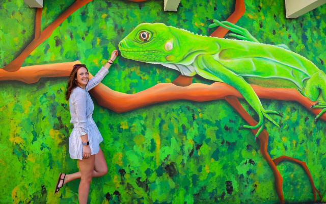 Aruba Art, Beach & Culture Tour