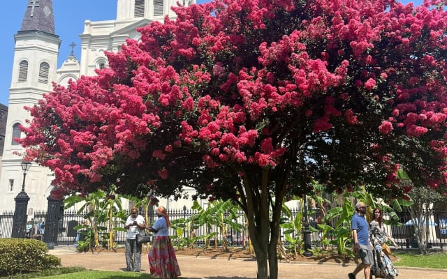 French Quarter Historical Walking Tour