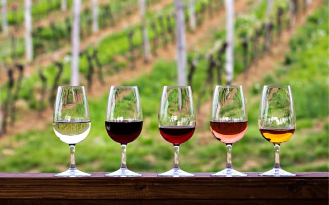 Half-Day Hill Country Wine Shuttle