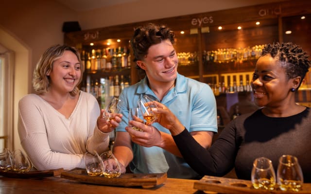 Dublin Irish Whiskey Museum Experience