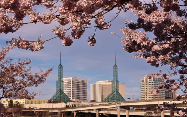 Portland Afternoon City Tour