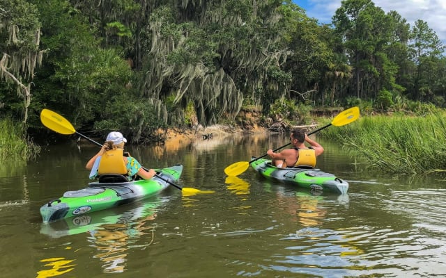 Hilton Head Outback Boat and Kayak Adventure