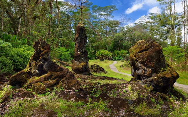 Hilo Shore Excursion: Volcano Safari Lava Caves, Falls and More