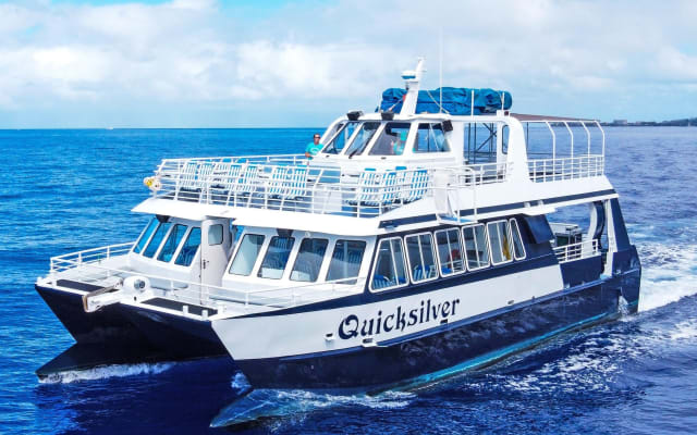 Maui Turtle Town Snorkel Cruise