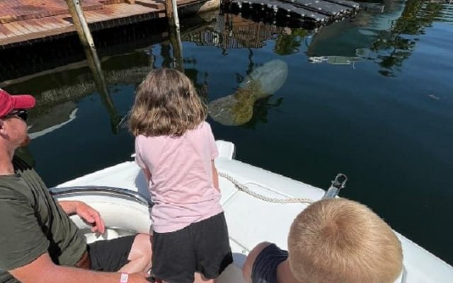 Florida Keys Eco Boat Tour