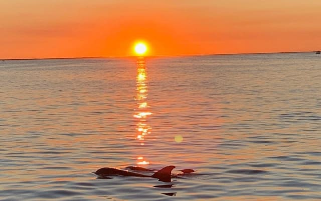 Key Largo Sunset Cruise