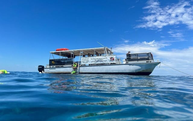 Key Largo Coral Reef Snorkel Adventure