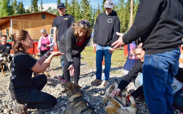Fairbanks Sled Dog Adventure with Campfire & S'mores