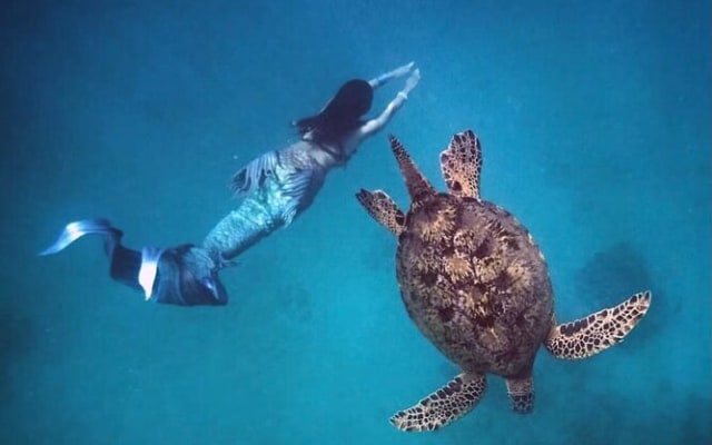 Waikīkī Sunrise Snorkel Adventure