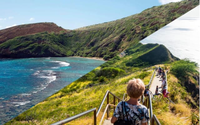 Oahu Half-Day Land and Sea Adventure