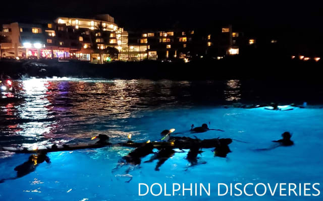 Manta Ray Night Snorkel Adventure