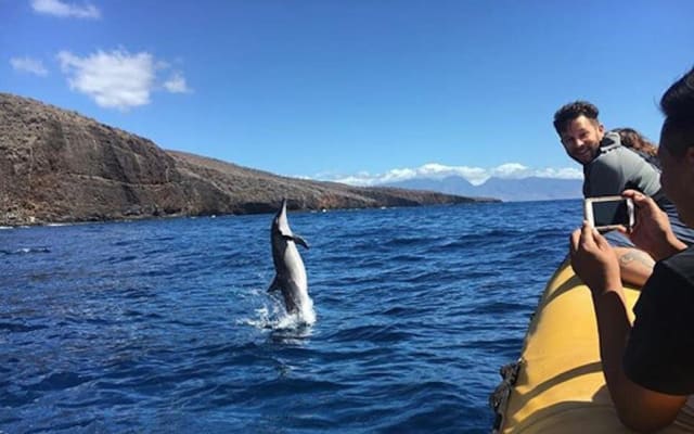 Lanai Deluxe Dolphin Adventure & 3 Snorkel Sites