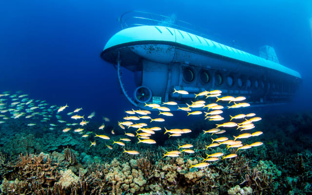 Atlantis Submarine Adventure in Kona